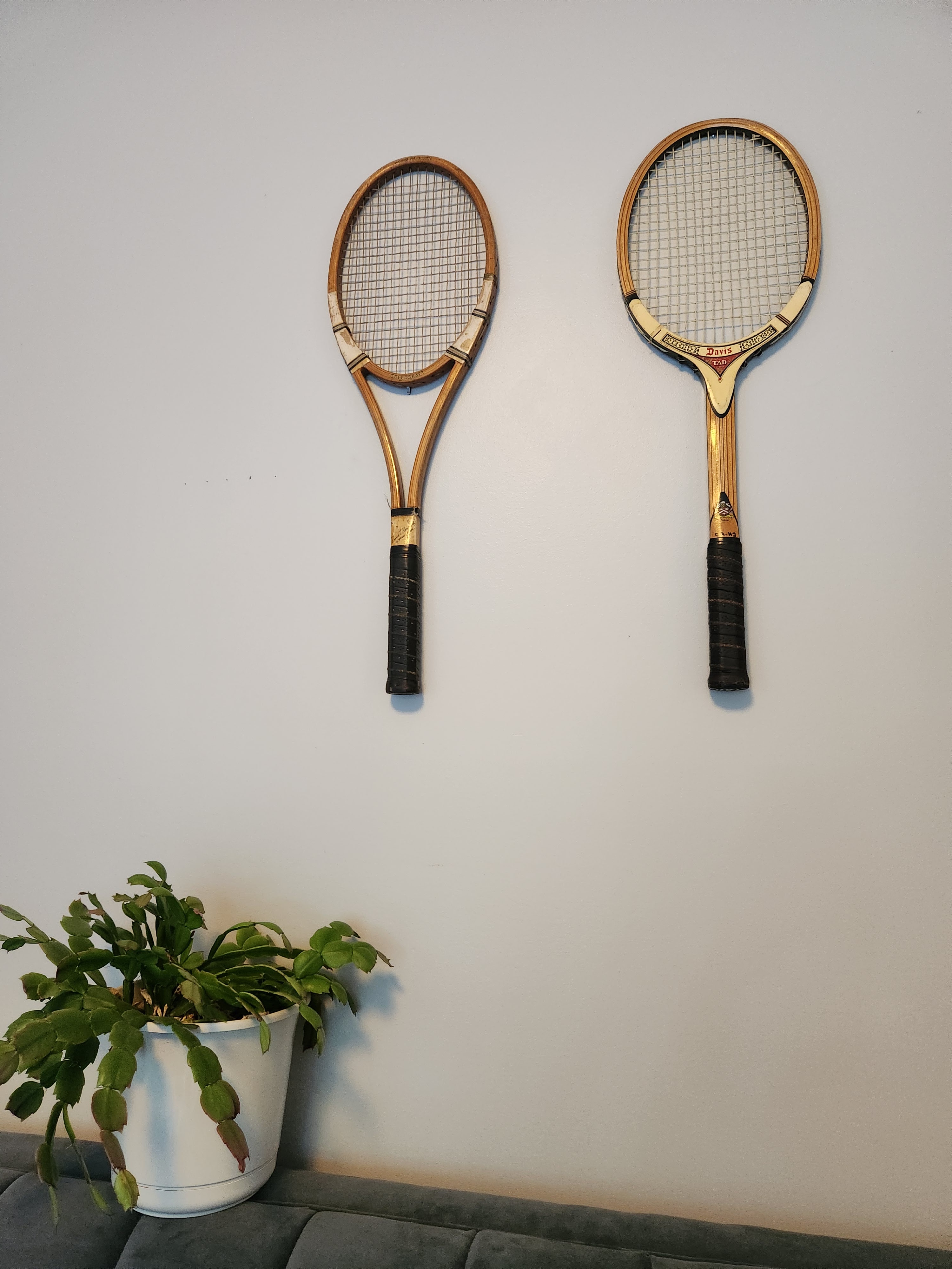 Vintage wood tennis rackets displayed on wall above plant